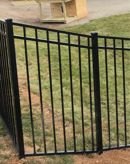 Puppy Picket Fencing 1