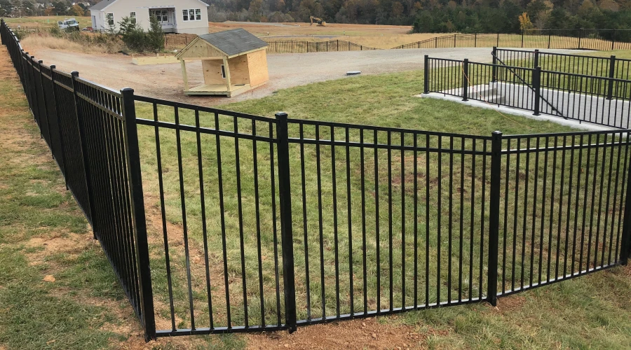 Puppy Picket Fencing 2